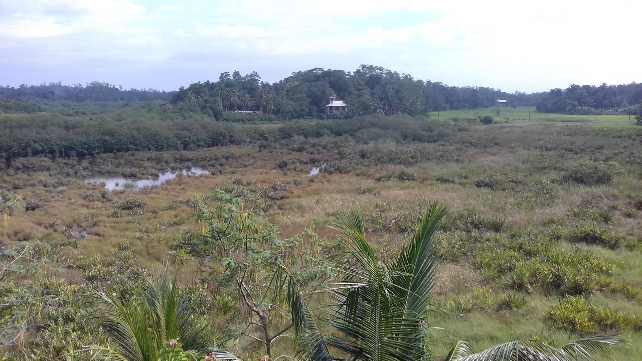 Deutsche Villa Hikkaduwa Exterior photo